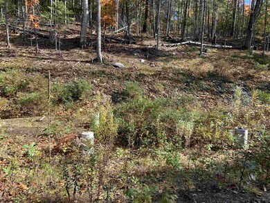 64 Beaver Pond Rd, Lyman, NH 03585 - photo 7