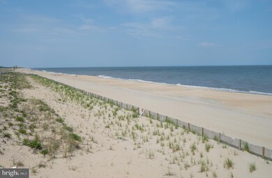 22 Holly Rd, Rehoboth Beach, DE 19971 - photo 6