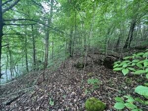 0 River Front Dr unit RTC2513639, Sparta, TN 38583 - photo 7