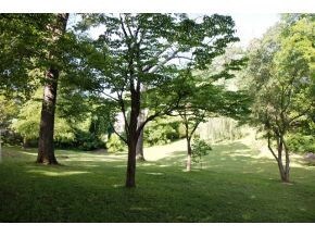 809 Swadley Rd, Johnson City, TN 37601 - photo 5