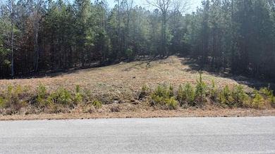 Lot 10 Highland Shr Subdivision, Jasper, AL 35503 - photo 4