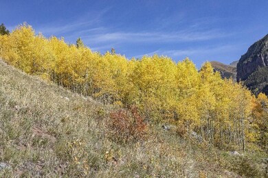 Aspens