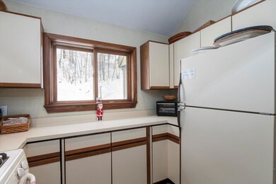 Kitchen window overlooking Okemo State Forest