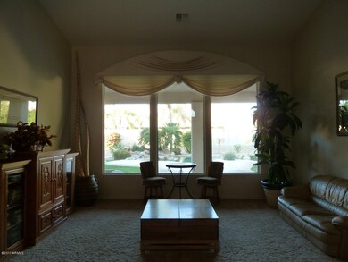 Dramatic View of Backyard