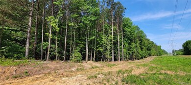 Lot B-1 Hawks Perch, Disputanta, VA 23842 - photo 5