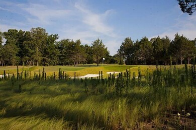 T B D Pasadera Cir, Gordonville, TX 76245 - photo 7