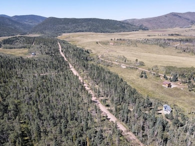 0 Petito Dr unit 25674908, Fort Garland, CO 81133 - photo 6