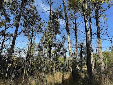 1xxx 460th Ln, Palisade, MN 56469 - photo 7