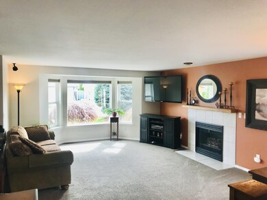 New Bay Windows