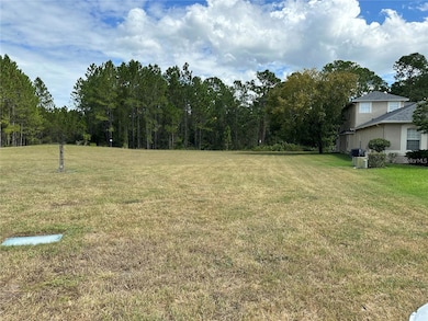 0 Shooting Star Ct, Riverchase, FL 34655 - photo 6