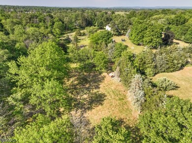 83 Readington Rd, Whitehouse Station, NJ 08889 - photo 5