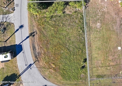 0 Pine Dale Ct, Hernando Beach, FL 34607 - photo 6