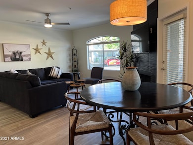 Light & Bright w/Many Windows