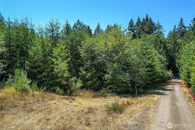 0 Lot 3 SE Yeshua Ln, Port Orchard, WA 98366 - photo 4