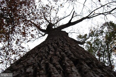 Lot 12 Tall Pines Ln, Berkeley Springs, WV 25411 - photo 7