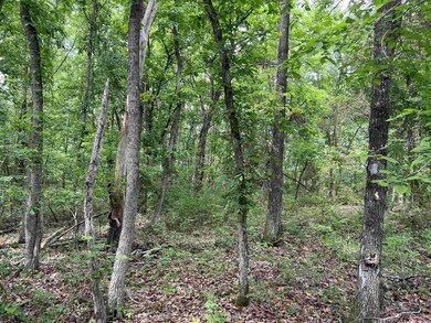 0 8 72 Acres On Meadow Creek Dr, Harrison, AR 72601 - photo 6