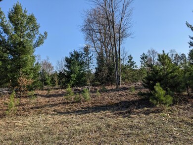 0 Jussi St unit 23021805, Kaleva, MI 49645 - photo 3