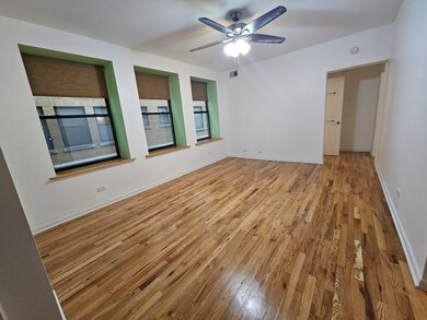 7203 S Yates Blvd unit 1A, Chicago, IL 60649 - photo 4