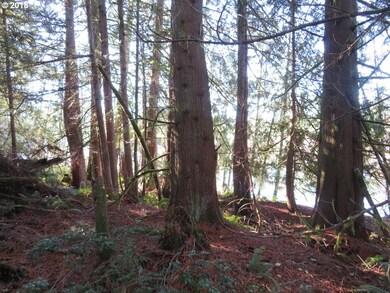 0 Wayne Rd W unit 5 18192863, Seabeck, WA 98380 - photo 5