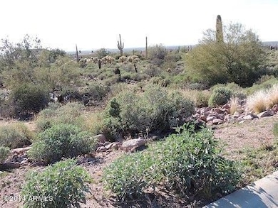 Lot 65 SW view that would include city l