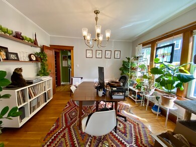 12 Saint Peter St unit 1, Jamaica Plain, MA 02130 - photo 4