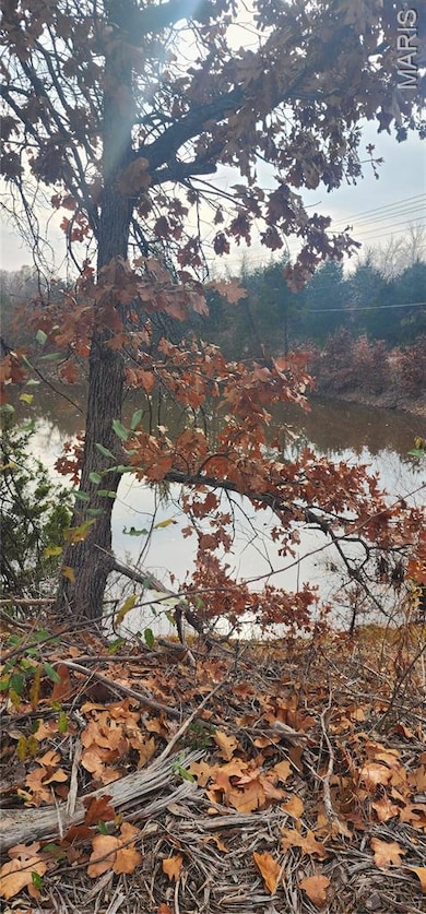 11050 County Road 2220, Rolla, MO 65401 - photo 5