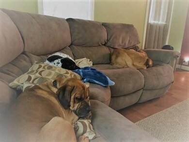 15 James St, Rutland, VT 05701 - photo 7