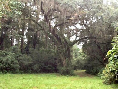 summitt plantation 4