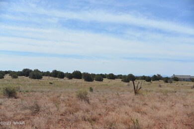June photos 004