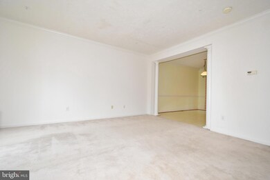 6617 Cambria Terrace, Elkridge, MD 21075 - photo 6