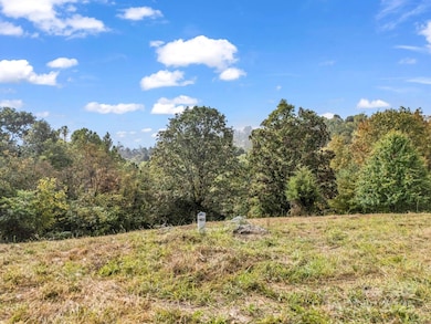 19 Woodchuck Cove Way, Alexander, NC 28701 - photo 4