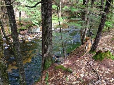 0 Tolman Rd, Harrison, ME 04040 - photo 6