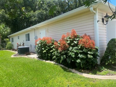 Side View Left