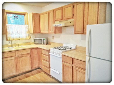 2301 Lincoln St, Bitely, MI 49309 - photo 4