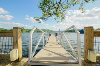 10174 County Road 67 unit LOT 47, Langston, AL 35755 - photo 5