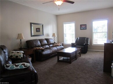 Living room windows face south, allows abundance o