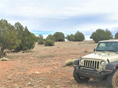 65 Poppy Rd, Ash Fork, AZ 86320 - photo 2