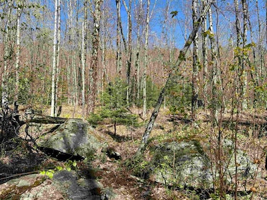 00 Deep Gibou Rd, Montgomery, VT 05471 - photo 7