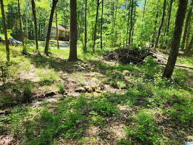 8720 Woodview Ln unit LOT  6-39, Pinson, AL 35126 - photo 7