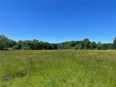 0 Tallmadge Rd unit 5096576, Rootstown, OH 44272 - photo 3