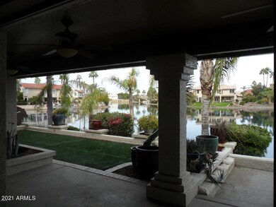 Low Maintenance back yard