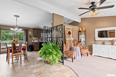 11910 Bubbling Well Rd unit 1, Glenarm, IL 62536 - photo 4