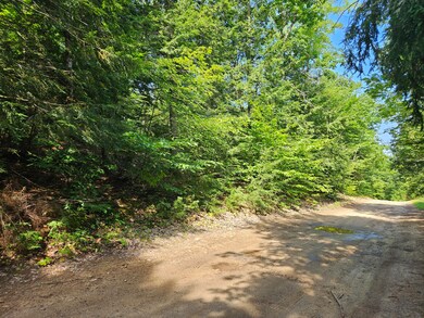 0 Hebo Hybo Rd, Acton, ME 04001 - photo 6