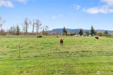 107 S Pass Rd unit 14, Nooksack, WA 98247 - photo 4