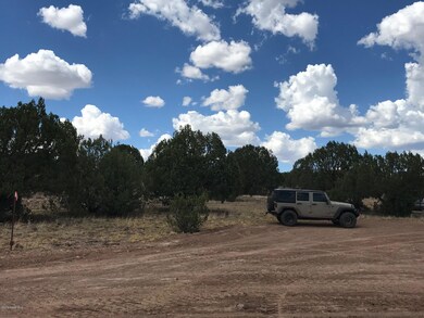 70 Off of Rawhide Ranch Rd, Ash Fork, AZ 86320 - photo 7