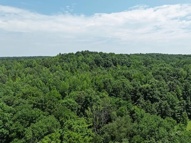 0 Batson Rd, Cumberland Furnace, TN 37051 - photo 3