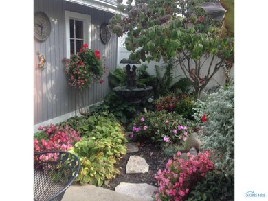 Backyard.