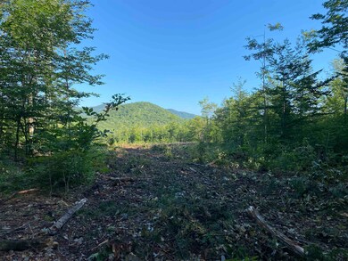 Lot 63-11-1 Ossipee Mountain Rd unit 63/11-1, Ossipee, NH 03864 - photo 2