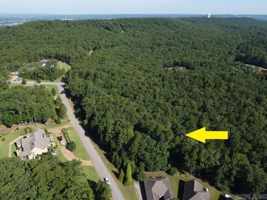 0 Mountain Ridge Rd unit 25029197, Batesville, AR 72501 - photo 3