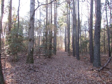 Lot 2 & 4 Lutterloh Rd, Pittsboro, NC 27312 - photo 2